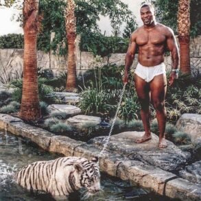 Consuming the Frame Mike Tyson and the Art of Making Everyone Nervous art-sheep.com