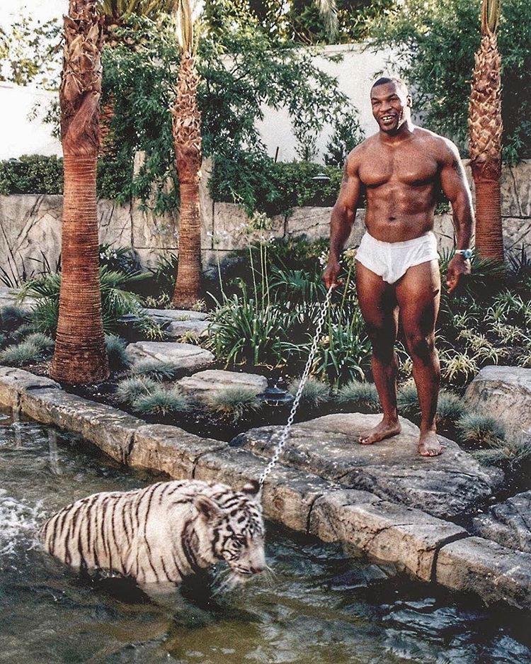 Consuming the Frame Mike Tyson and the Art of Making Everyone Nervous art-sheep.com