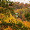 Making the Most of Your Time in Pigeon Forge art-sheep.com