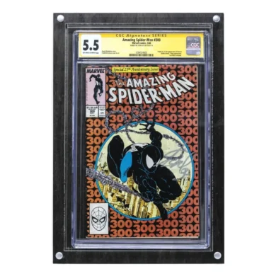 Top 5 Comic Book Frame Display Cases Compared Ikea Hacks to Premium Mounts art-sheep.com (3)