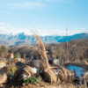 What to Know Before You Buy a Home in the Tennessee Mountains art-sheep.com