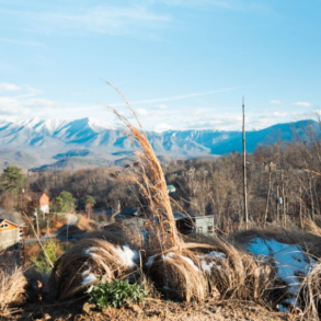 What to Know Before You Buy a Home in the Tennessee Mountains art-sheep.com