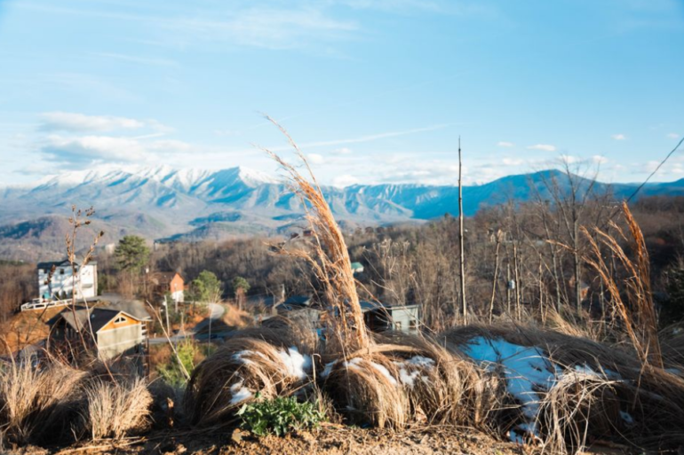 What to Know Before You Buy a Home in the Tennessee Mountains art-sheep.com