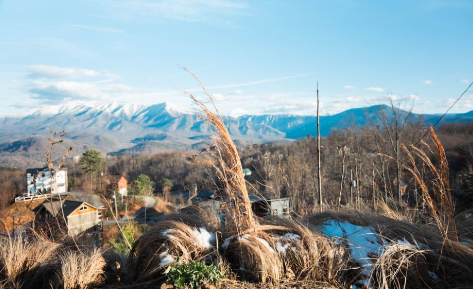 What to Know Before You Buy a Home in the Tennessee Mountains art-sheep.com